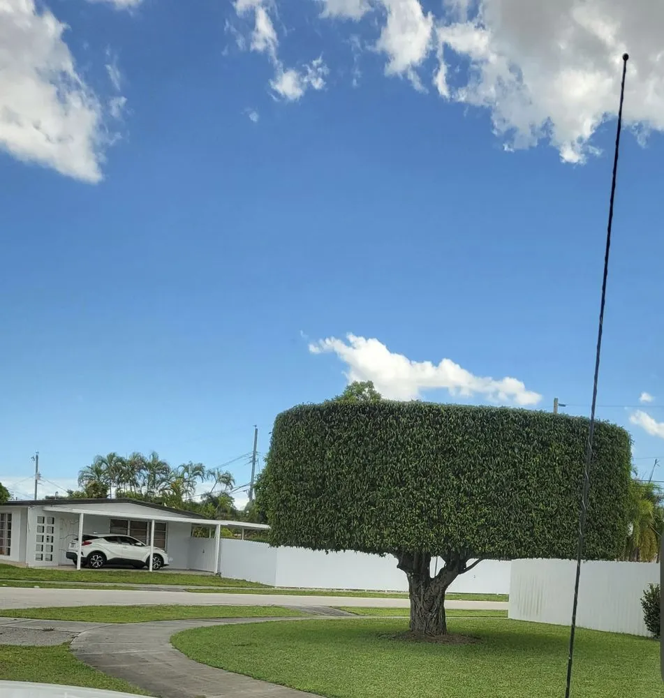 Top-rated lawn mowing service in North Miami, FL by Landscaping PHC