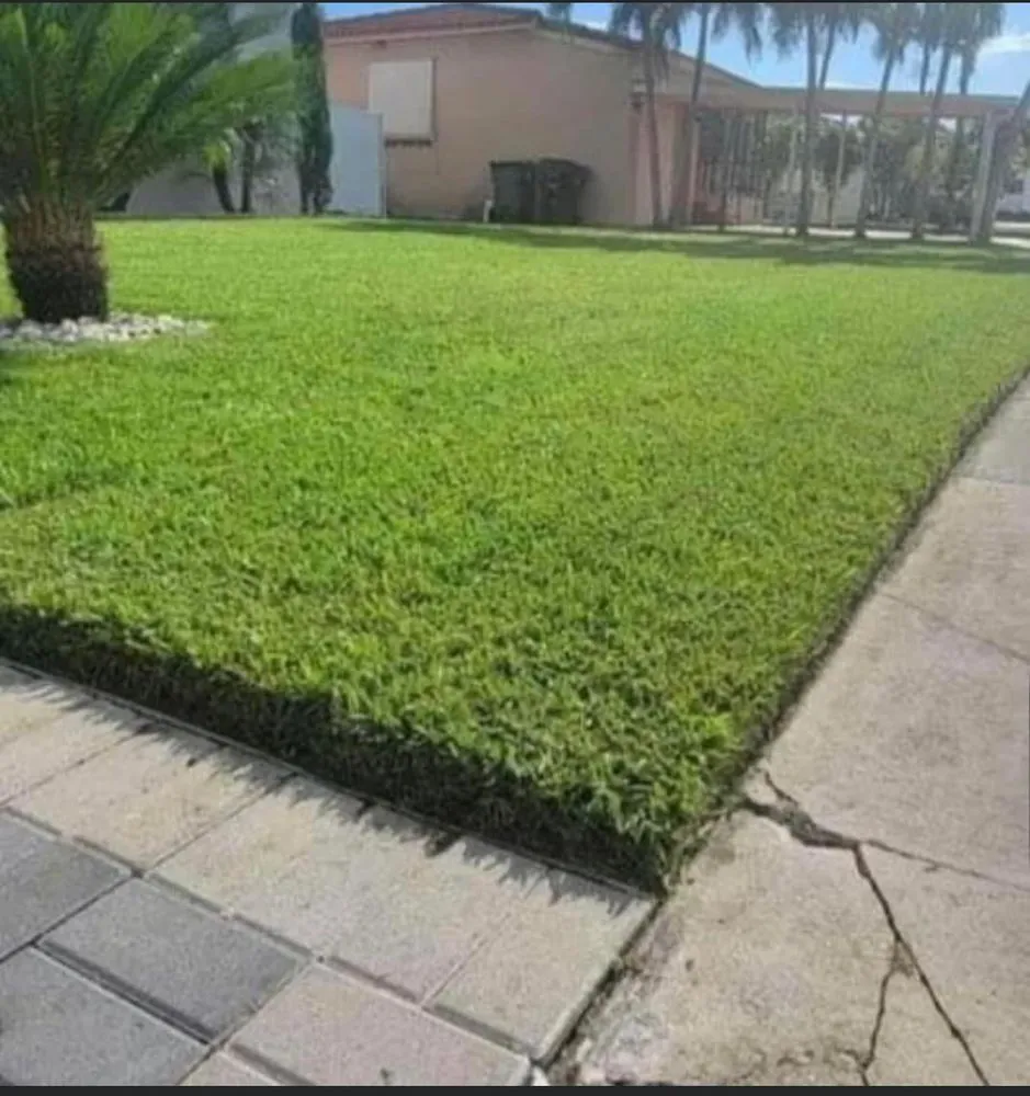Top-rated outdoor landscaping for beautiful yards in North Miami, FL by Landscaping PHC