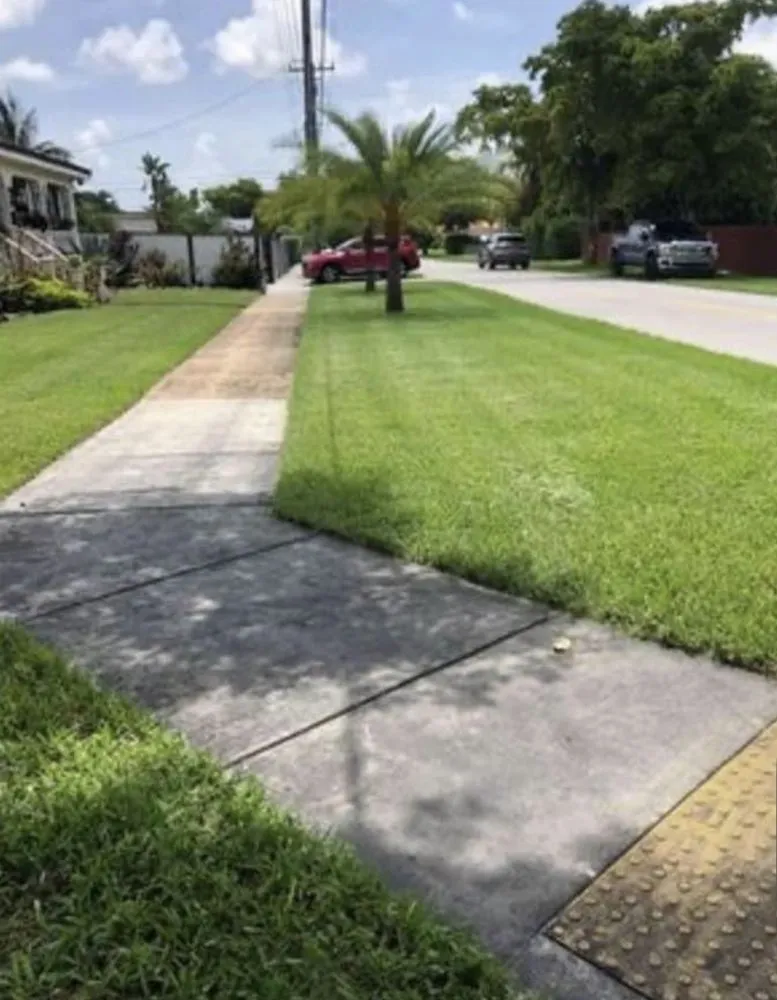 Reliable landscaping services in North Miami, FL - Landscaping PHC