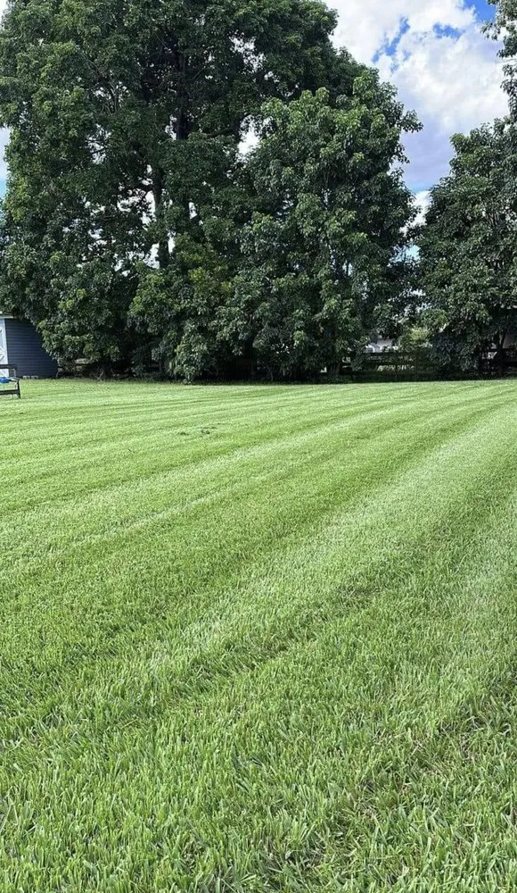 Top-rated landscape design for outdoor upgrades across North Miami, FL - Landscaping PHC