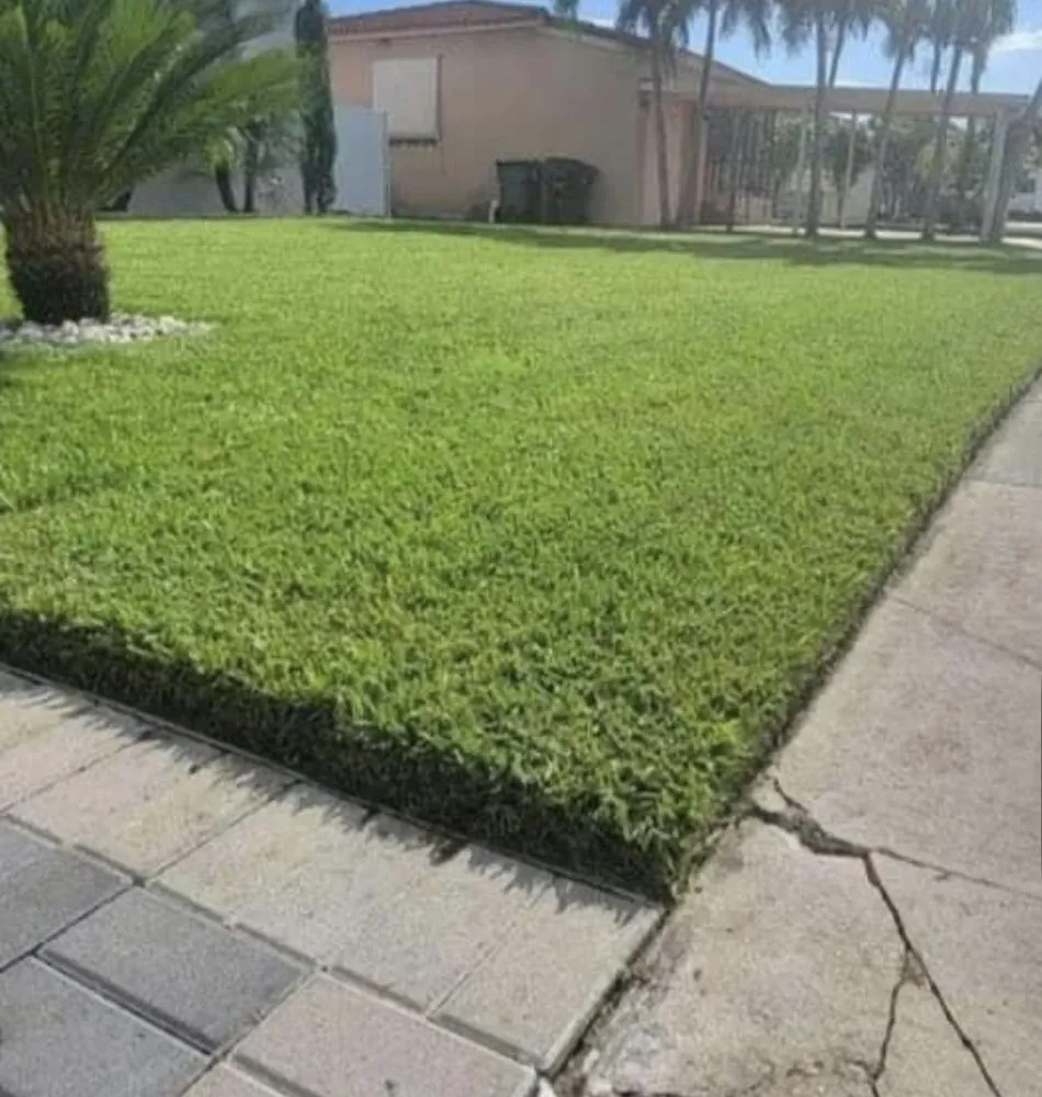 Top-rated yard cleanup service for homes in North Miami, FL by Landscaping PHC