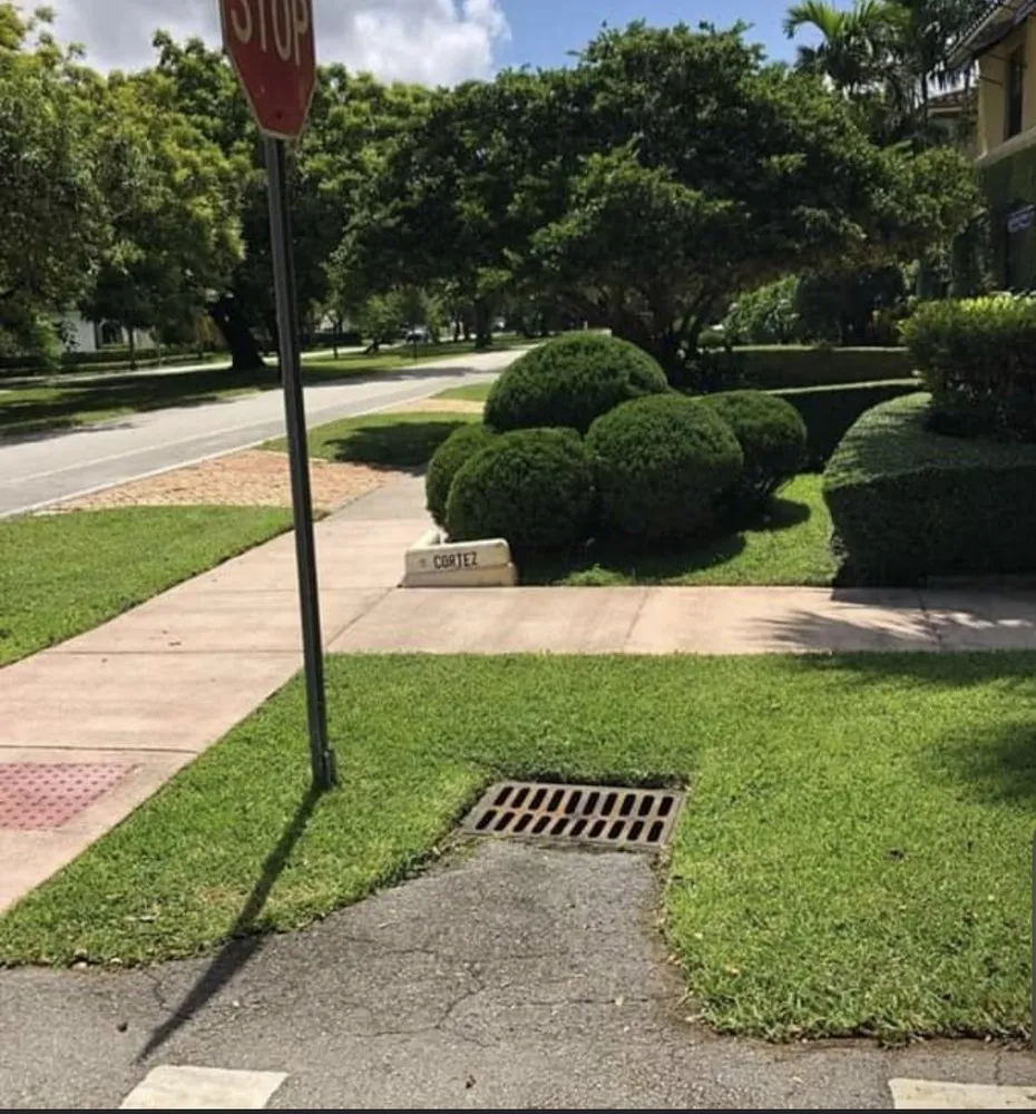 Affordable landscaping services experts serving North Miami, FL - Landscaping PHC