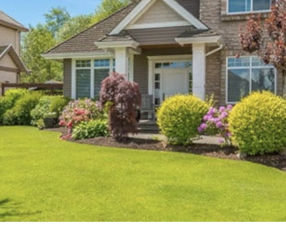 Custom landscape installation experts serving North Miami, FL - Landscaping PHC