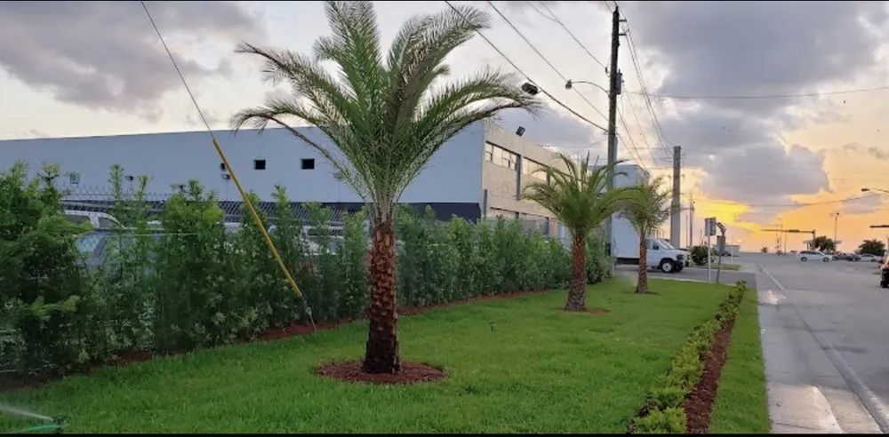 Custom landscaping services in North Miami, FL - Landscaping PHC