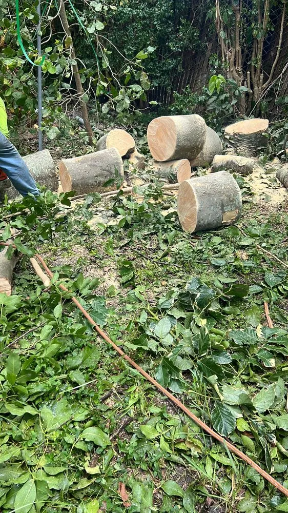 Reliable landscaping services in North Miami, FL - Landscaping PHC