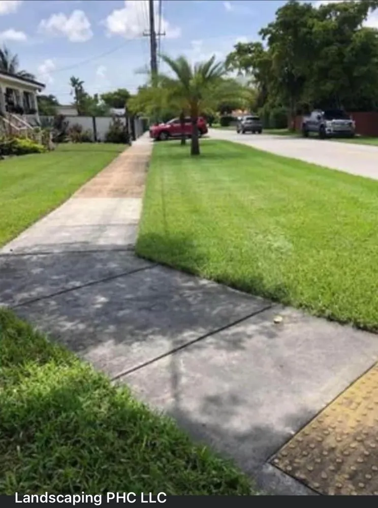 Local lawn care service in North Miami, FL by Landscaping PHC