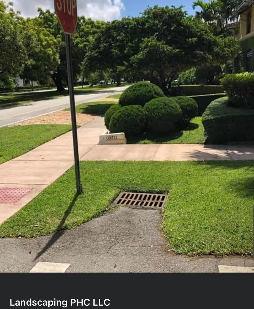 Professional lawn care service experts serving North Miami, FL - Landscaping PHC