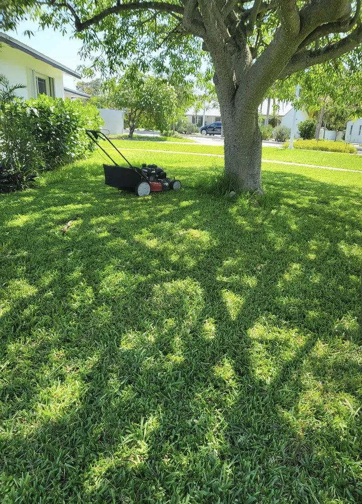 Expert outdoor landscaping in North Miami, FL - Landscaping PHC