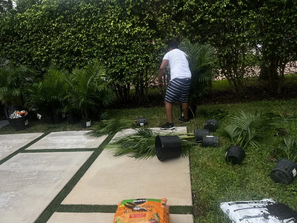 Local landscape design in North Miami, FL - Landscaping PHC