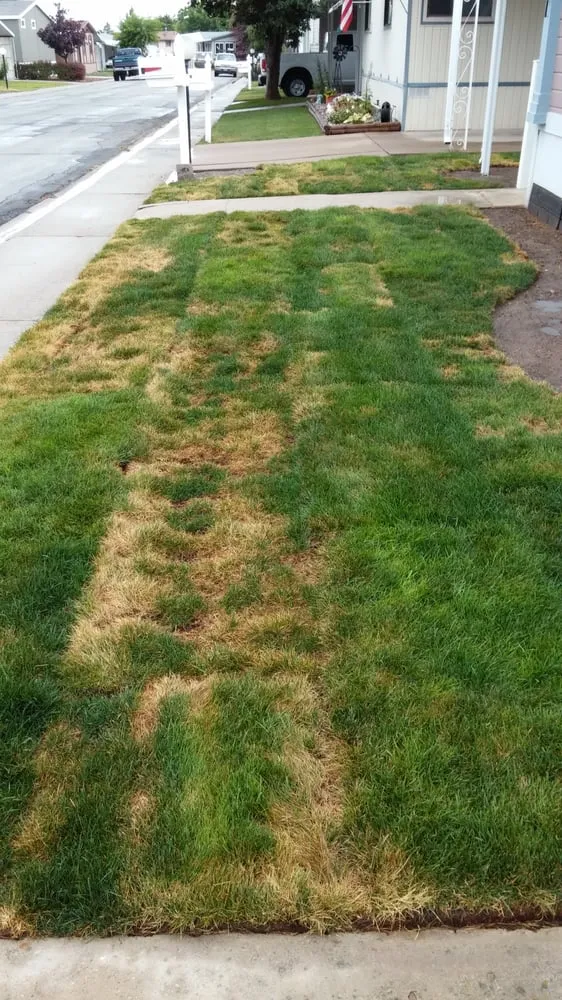 Affordable landscape installation experts serving Ogden, UT - Landscaping Plus