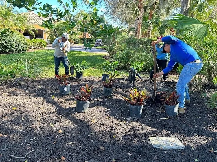 Reliable yard cleanup service in Fruitville, FL - landscaping pro level