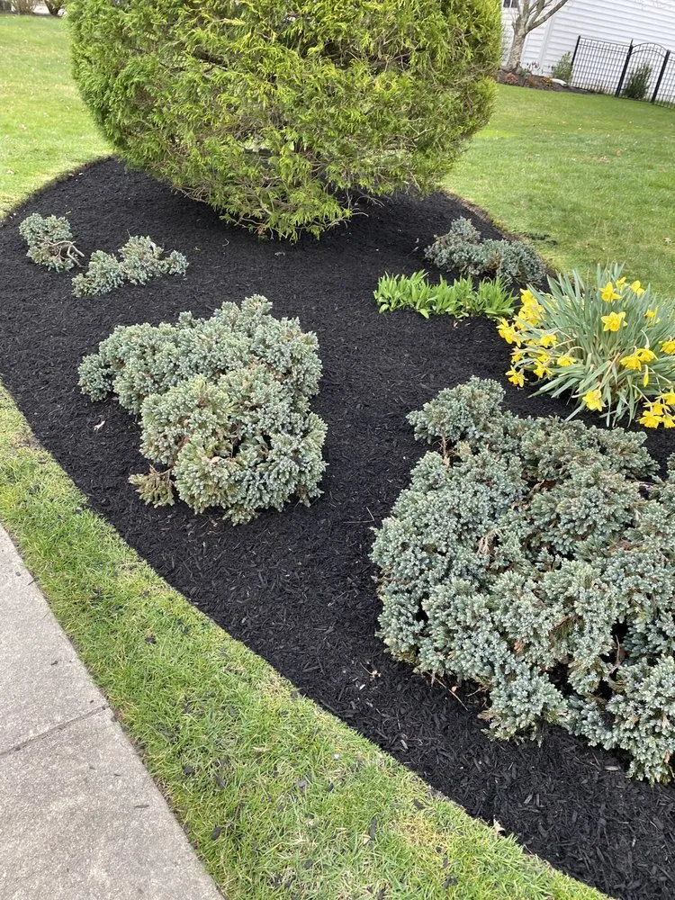 Top-rated outdoor landscaping experts serving Williamstown, NJ - Landscaping Pro Service