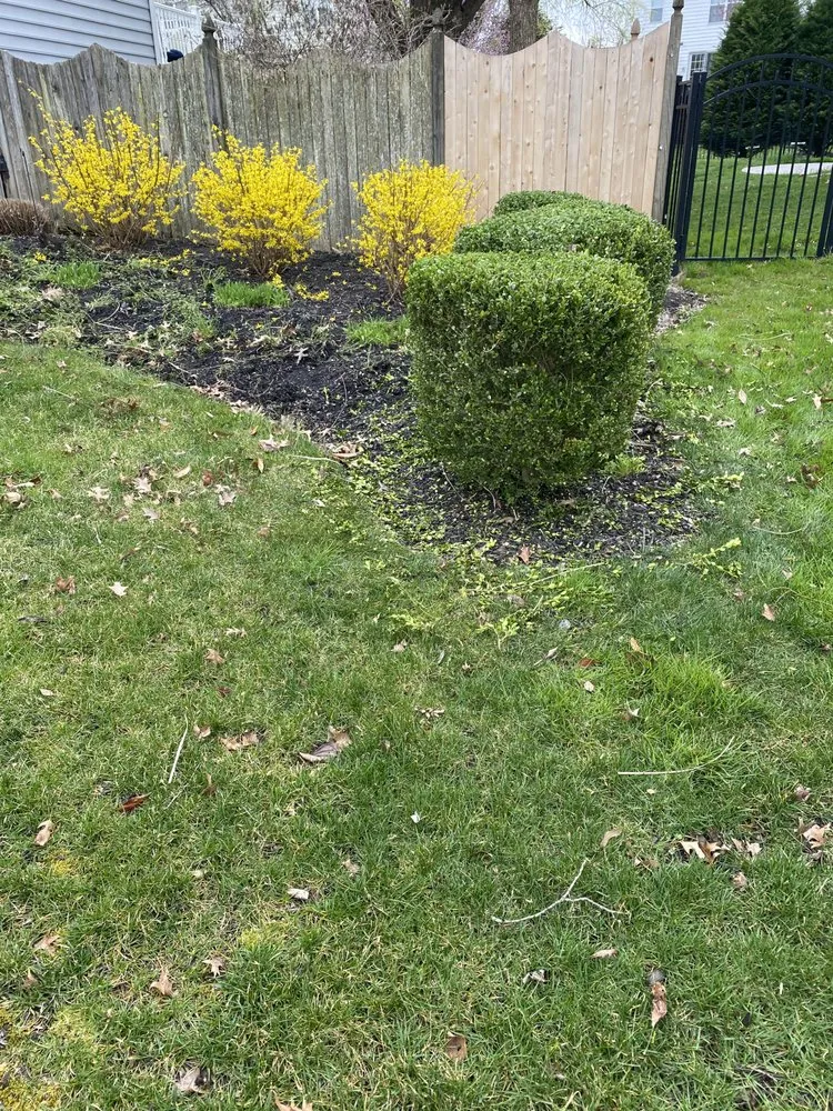 Trusted landscape design experts serving Williamstown, NJ - Landscaping Pro Service