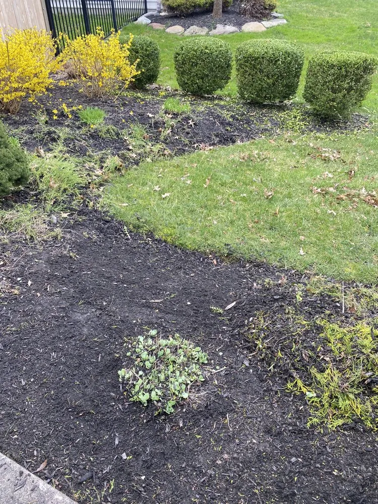 Custom residential landscaping experts serving Williamstown, NJ - Landscaping Pro Service