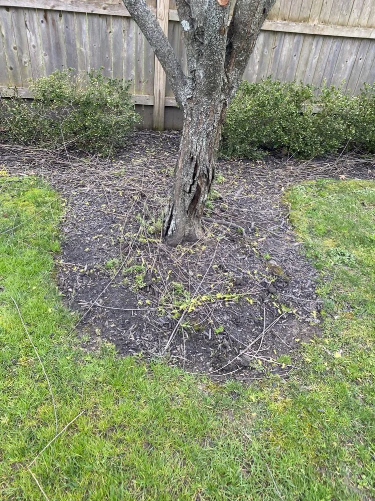 Expert residential landscaping for residential properties in Williamstown, NJ by Landscaping Pro Service