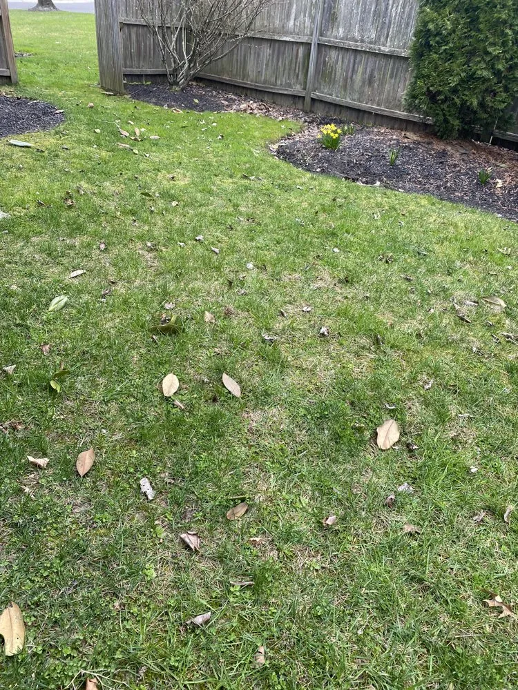 Reliable landscape installation in Williamstown, NJ - Landscaping Pro Service