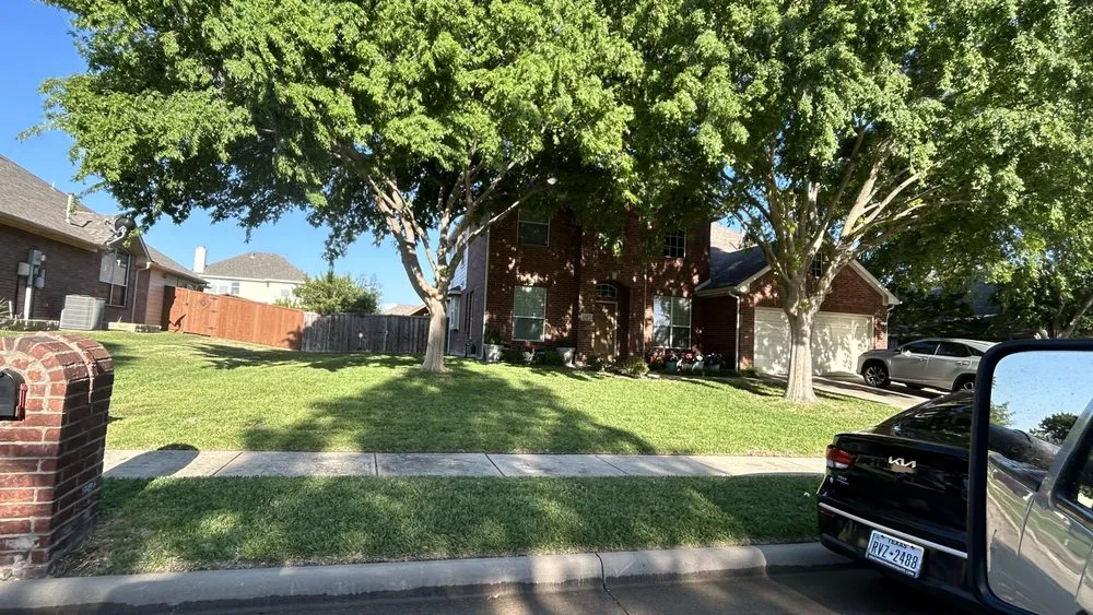 Reliable yard cleanup service in Plano, TX - Landscaping Pro Services