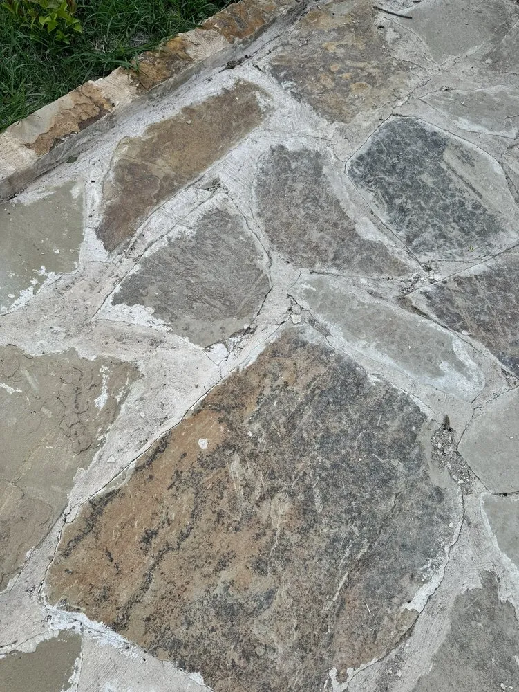 Affordable lawn mowing service in Plano, TX by Landscaping Pro Services