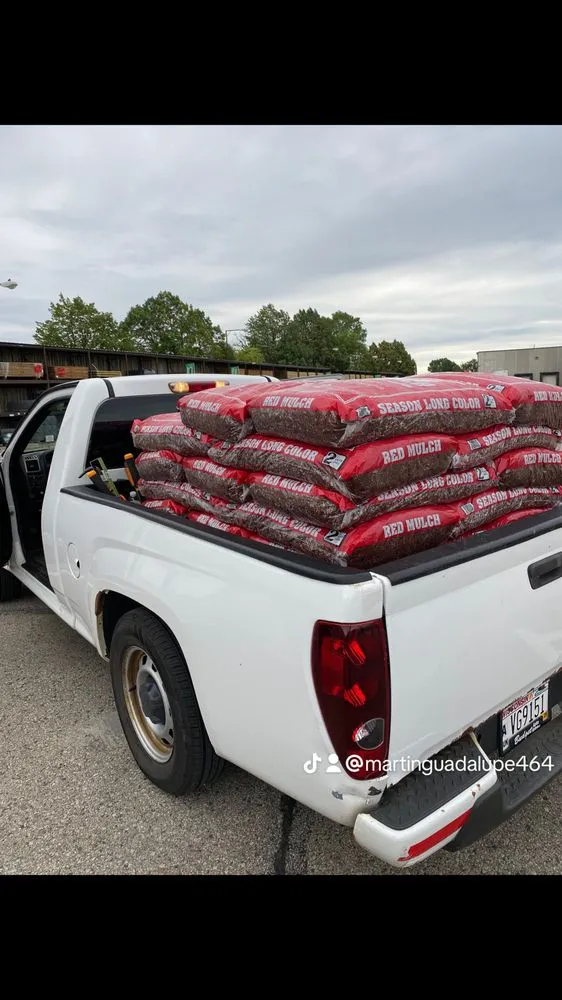 Expert yard cleanup service in Taycheedah, WI by Landscaping Professional