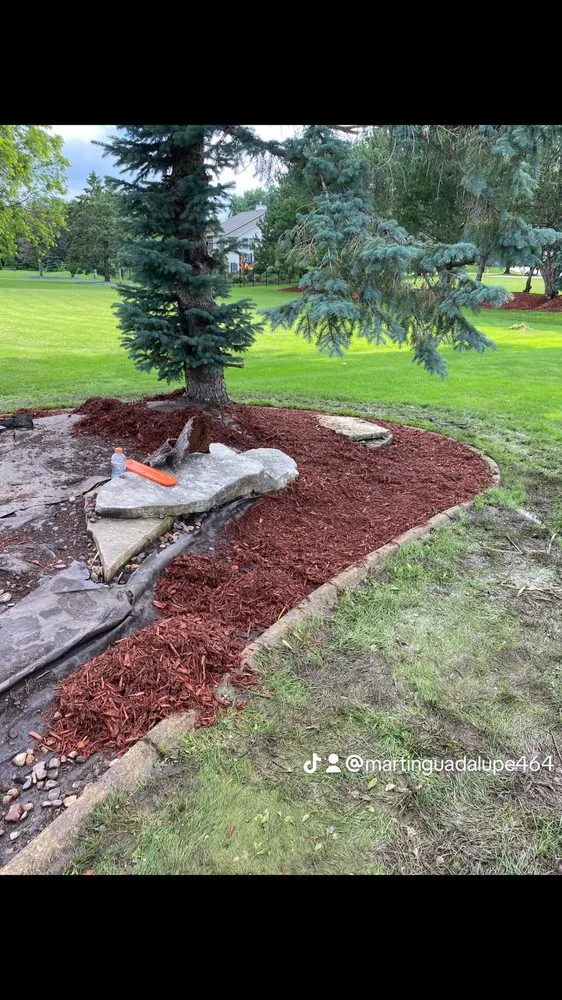 Top-rated yard cleanup service experts serving Taycheedah, WI - Landscaping Professional