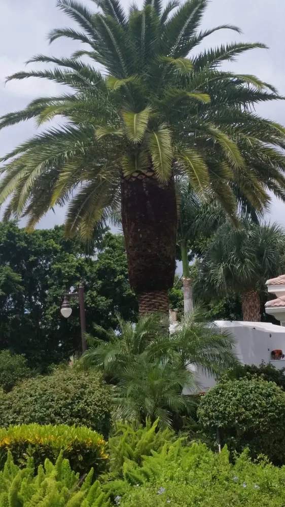 Top-rated landscape installation in Lake Worth, FL by Landscaping Professional Tree Service