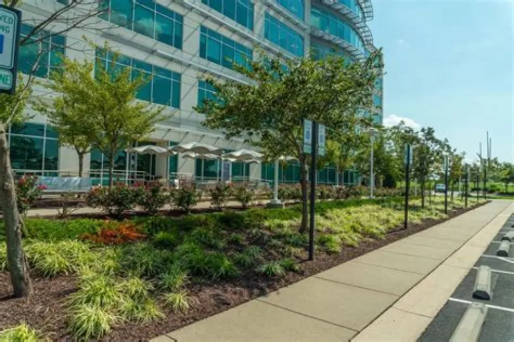 Top-rated outdoor landscaping for beautiful yards in Delray Beach, FL by Landscaping Professionals