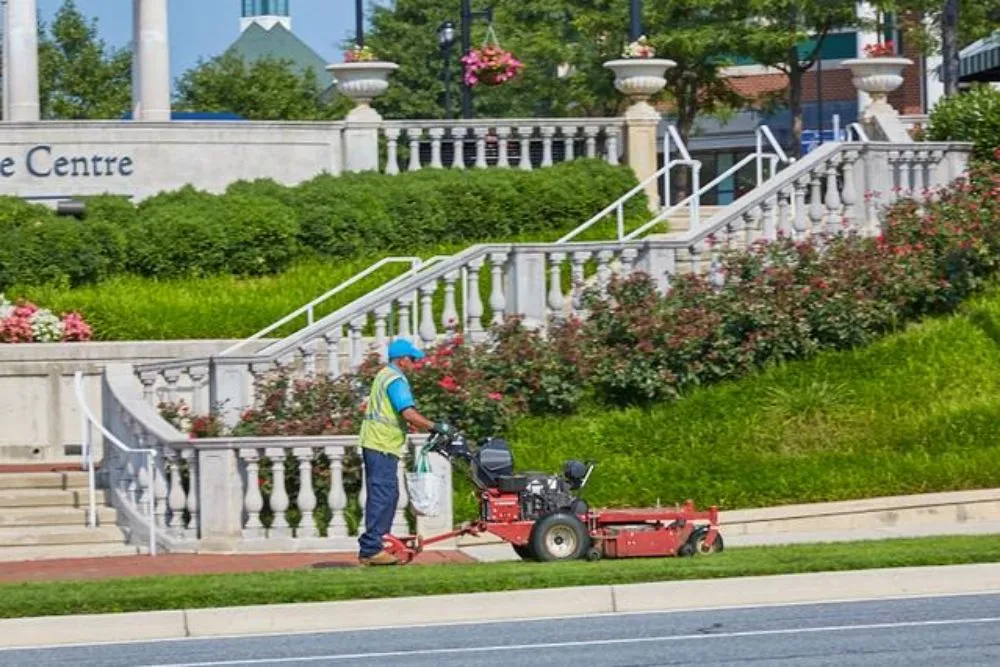 Reliable yard maintenance in Delray Beach, FL - Landscaping Professionals