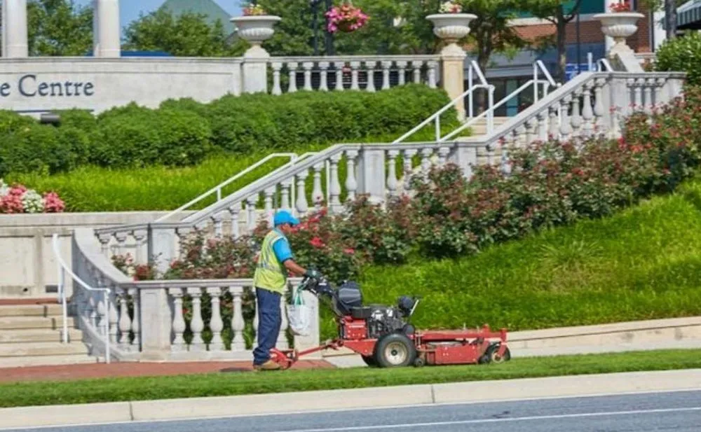 Local landscape installation for beautiful yards in Delray Beach, FL by Landscaping Professionals