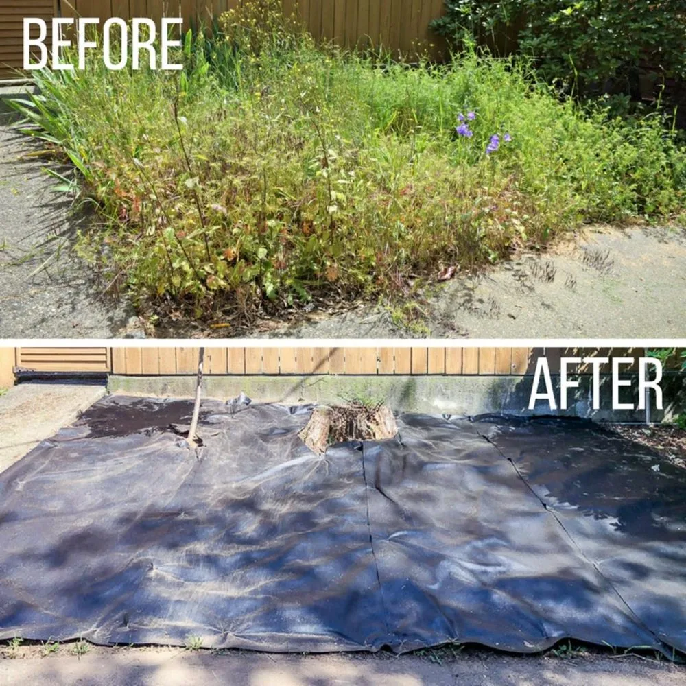 Affordable lawn mowing service near you across Yuma, AZ - Landscaping Professionals