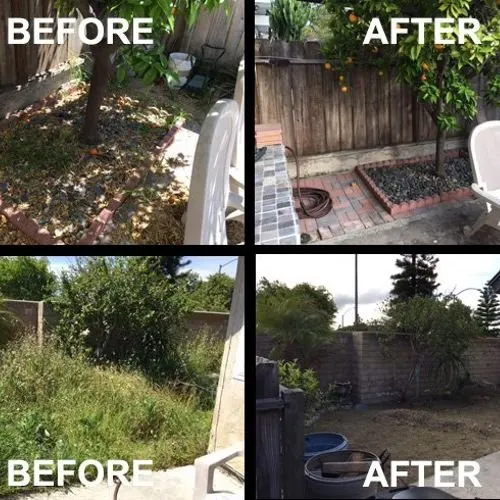 Custom garden landscaping for year-round maintenance across Yuma, AZ - Landscaping Professionals