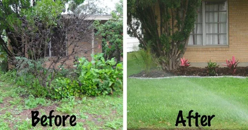 Custom yard cleanup service for beautiful yards in Yuma, AZ by Landscaping Professionals