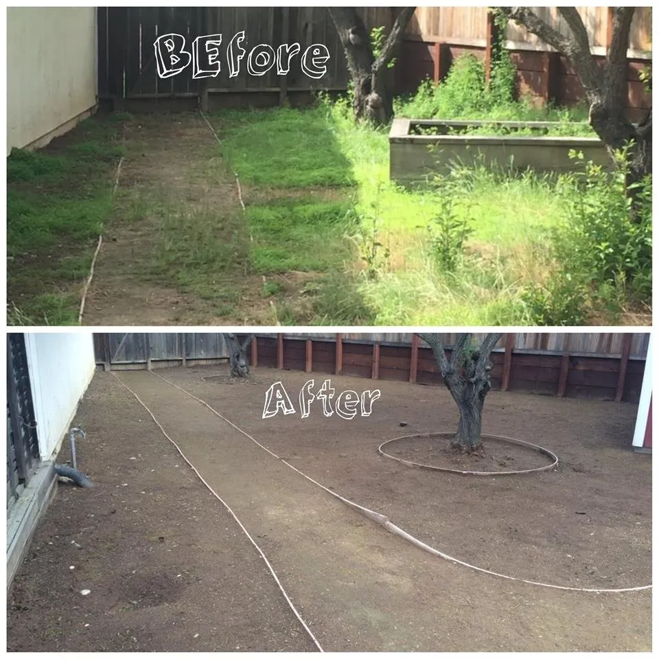 Reliable landscape installation for outdoor upgrades in Yuma, AZ by Landscaping Professionals