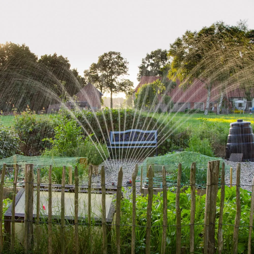 Local landscaping services with custom design across El Cajon, CA - Landscaping Pros El Cajon