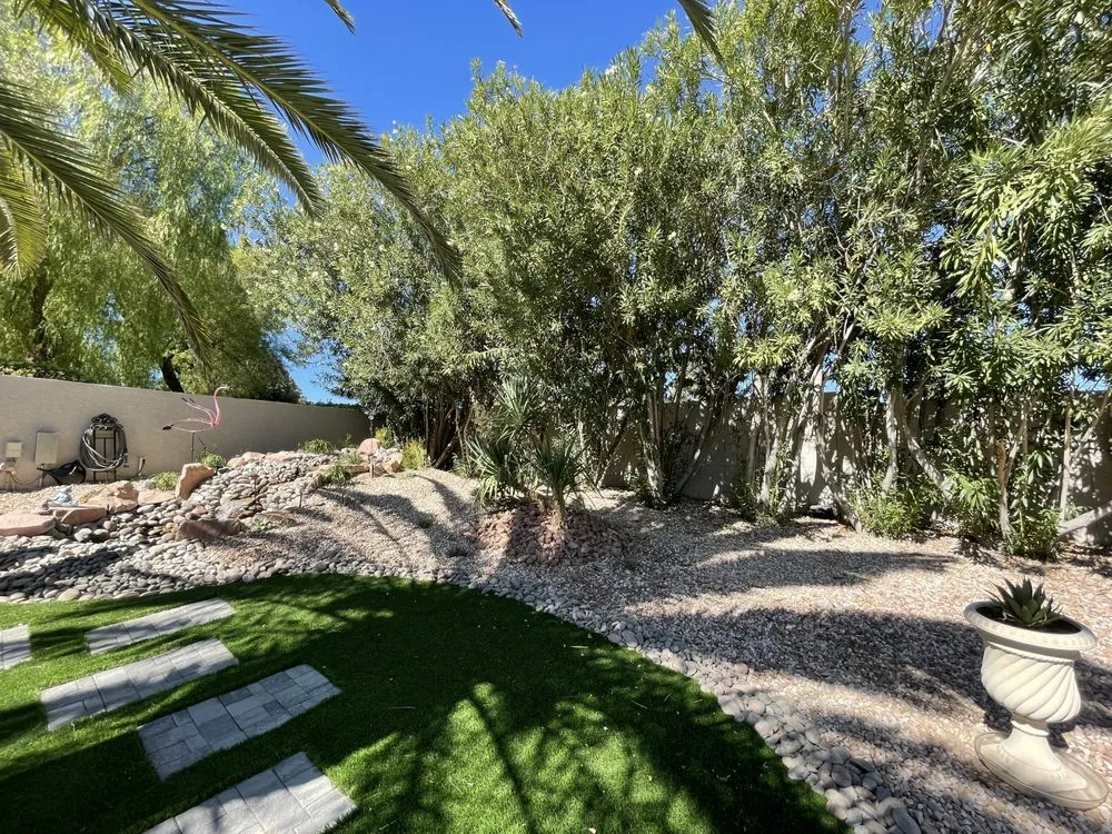Top-rated yard cleanup service in Las Vegas, NV - Landscaping Pros
