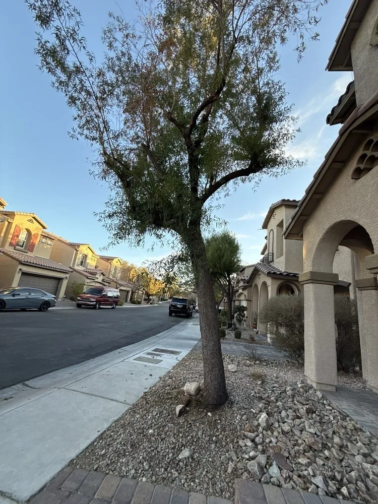 Local lawn care service for outdoor upgrades in North Las Vegas, NV by Landscaping Pros