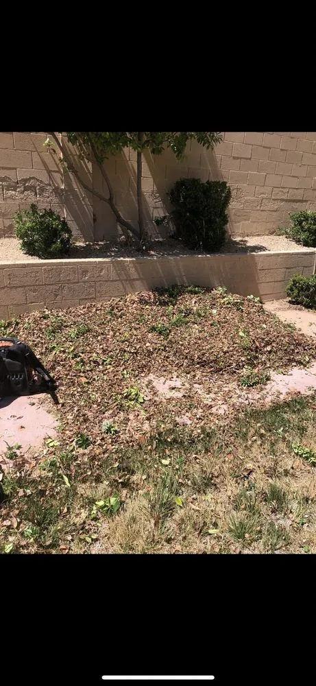 Professional residential landscaping in North Las Vegas, NV - Landscaping Pros