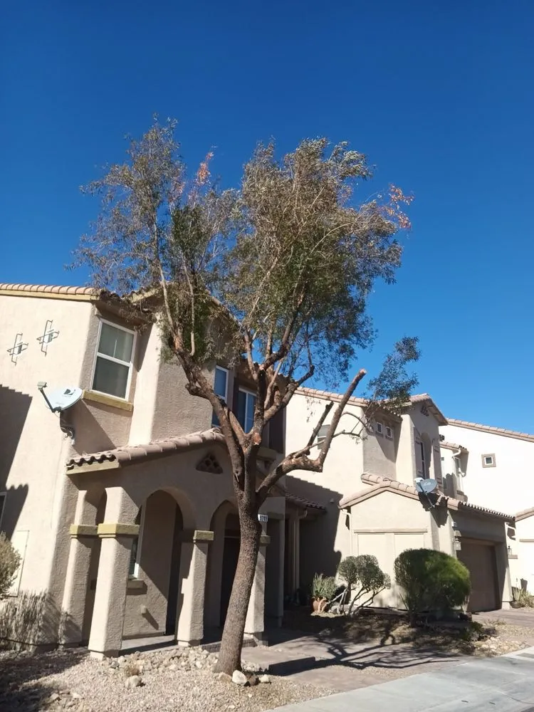 Top-rated landscaping services for beautiful yards in North Las Vegas, NV by Landscaping Pros