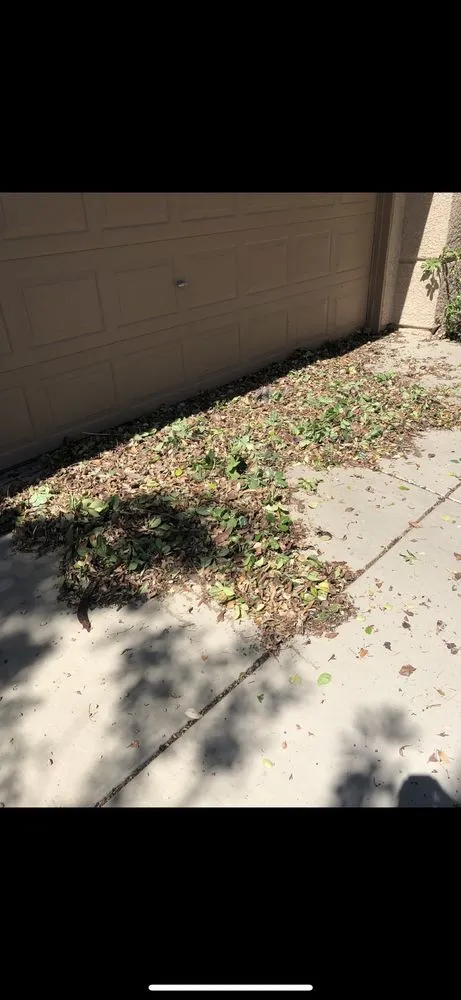 Local landscaping services in North Las Vegas, NV by Landscaping Pros