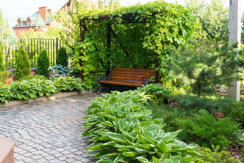 Local residential landscaping for year-round maintenance across Homestead, FL - Landscaping Pros Of Homestead