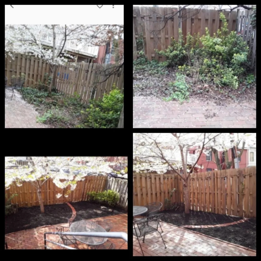 Custom yard cleanup service in Glen Burnie, MD by Landscaping Quality Services