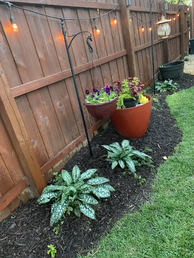 Affordable outdoor landscaping experts serving Glen Burnie, MD - Landscaping Quality Services