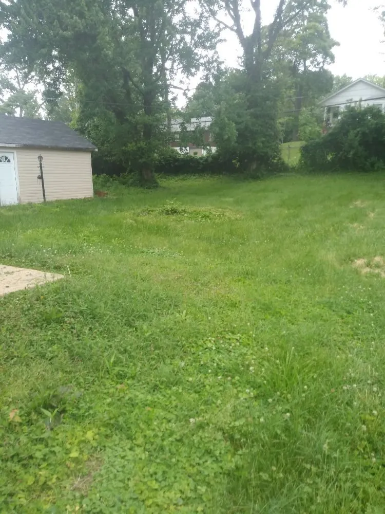 Affordable yard cleanup service in De Soto, MO by Landscaping R Us