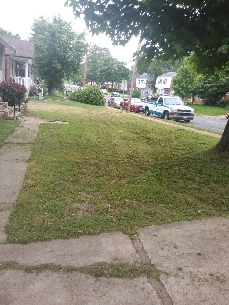 Affordable yard maintenance in De Soto, MO by Landscaping R Us