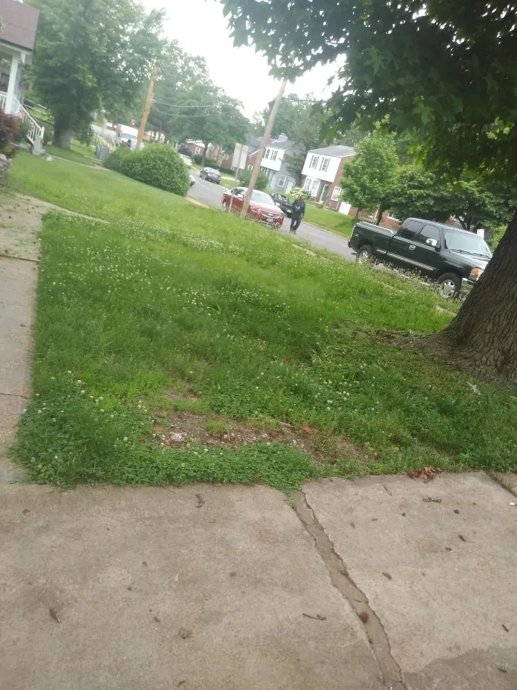 Professional landscape design in De Soto, MO - Landscaping R Us