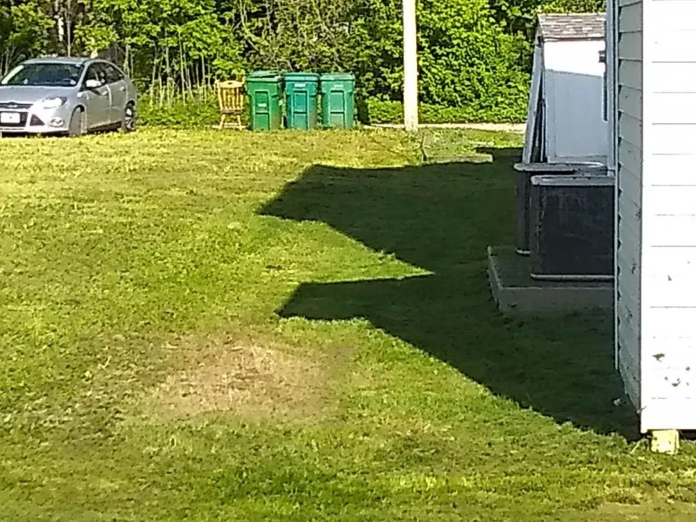 Local yard cleanup service in De Soto, MO - Landscaping R Us