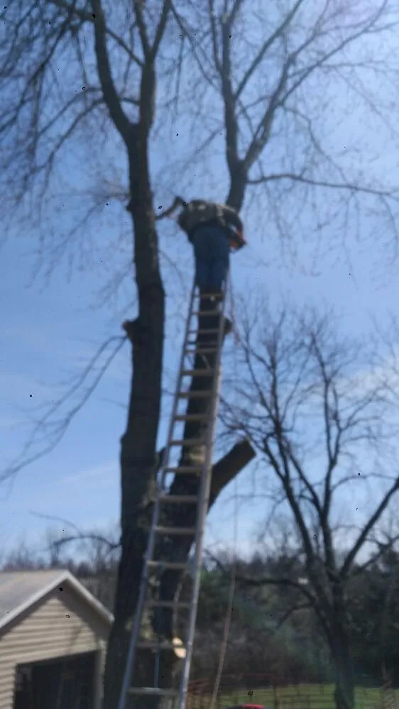 Expert lawn care service in De Soto, MO - Landscaping R Us