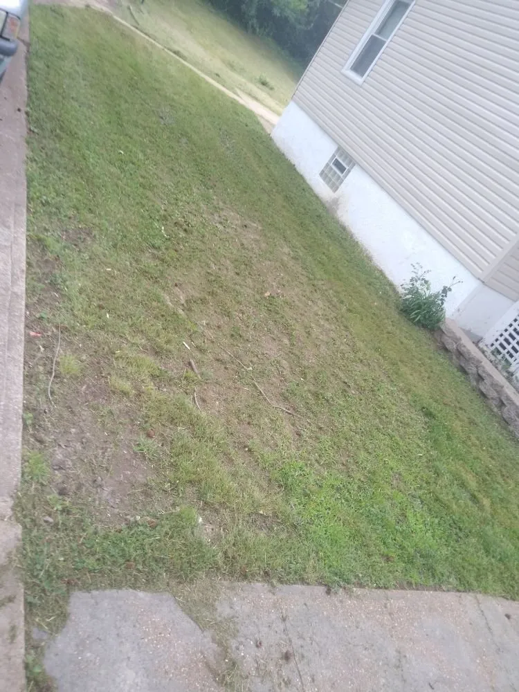 Local yard cleanup service in De Soto, MO by Landscaping R Us