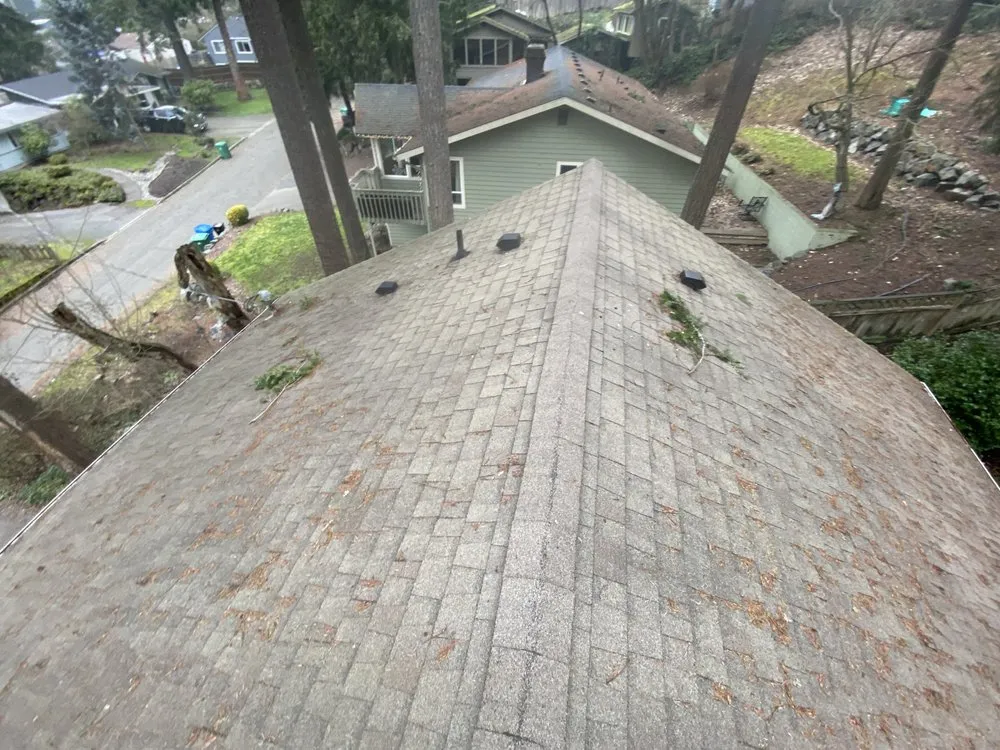 Local yard maintenance experts serving Marysville, WA - Landscaping Ramirez