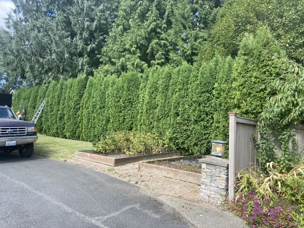Expert yard maintenance for beautiful yards across Marysville, WA - Landscaping Ramirez