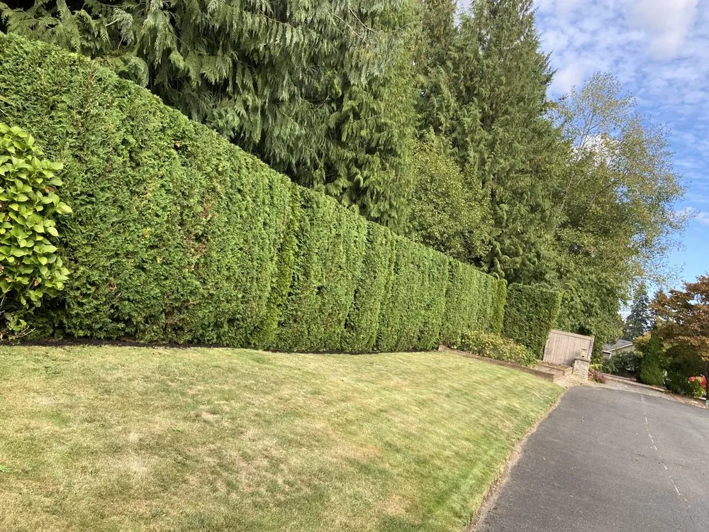 Custom outdoor landscaping for year-round maintenance in Marysville, WA by Landscaping Ramirez